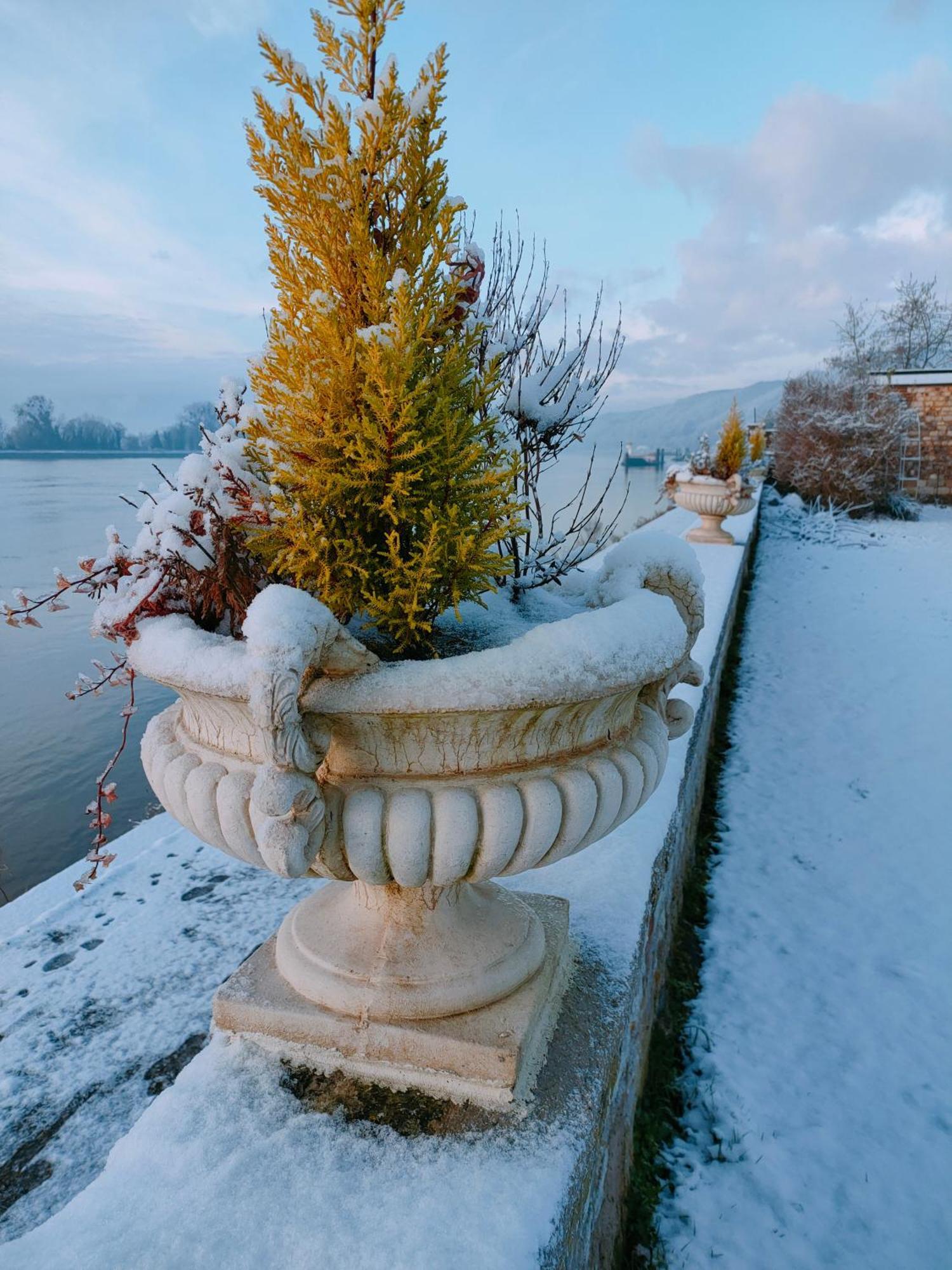 Demeure En Seine - Gites Et Chambres D'Hote En Bord De Seine Caudebec-en-Caux Bilik gambar
